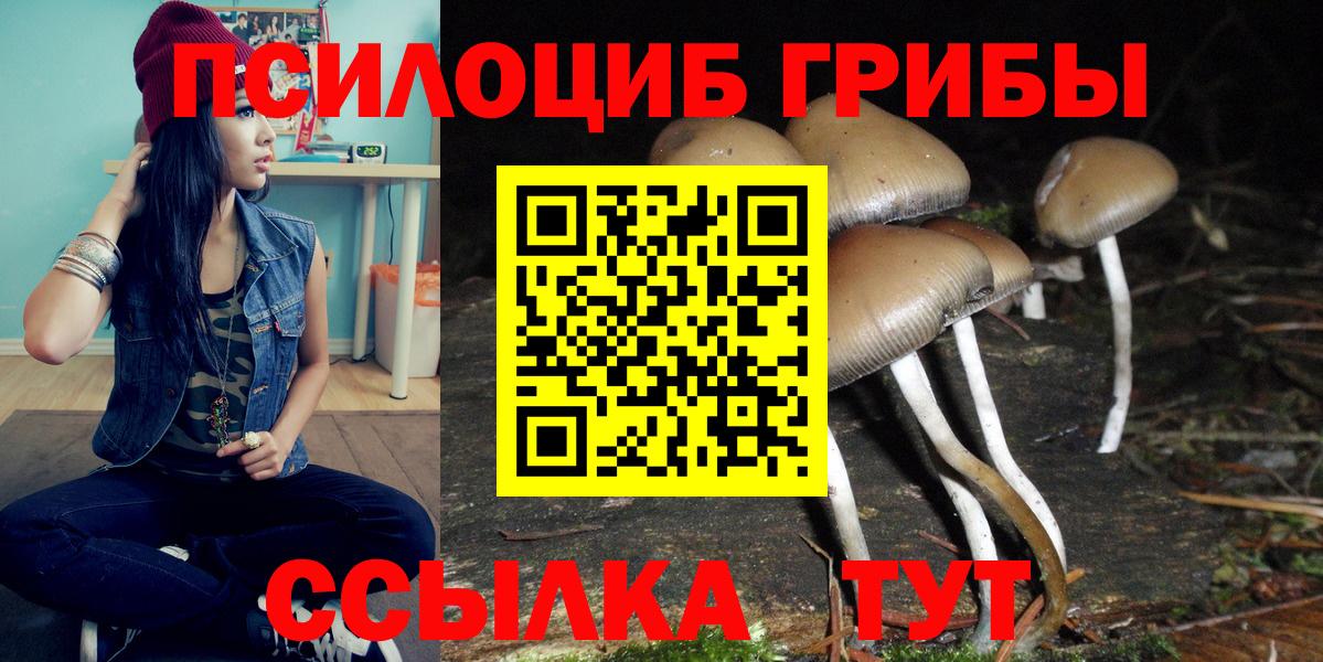 Псилоцибиновые грибы Psilocybe Урай